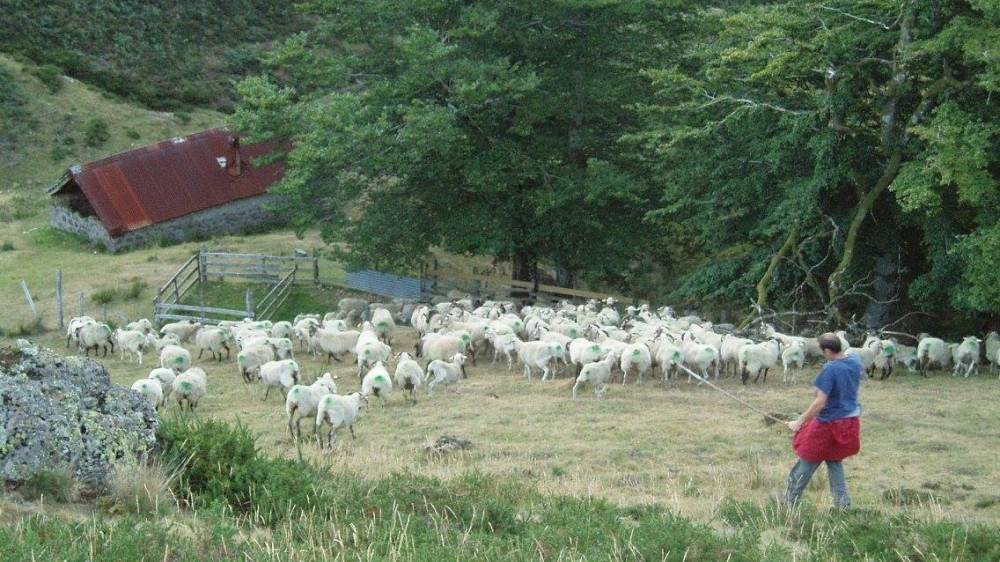 Nous n‘en sommes pas loin ! Nous n‘en sommes pas loin !