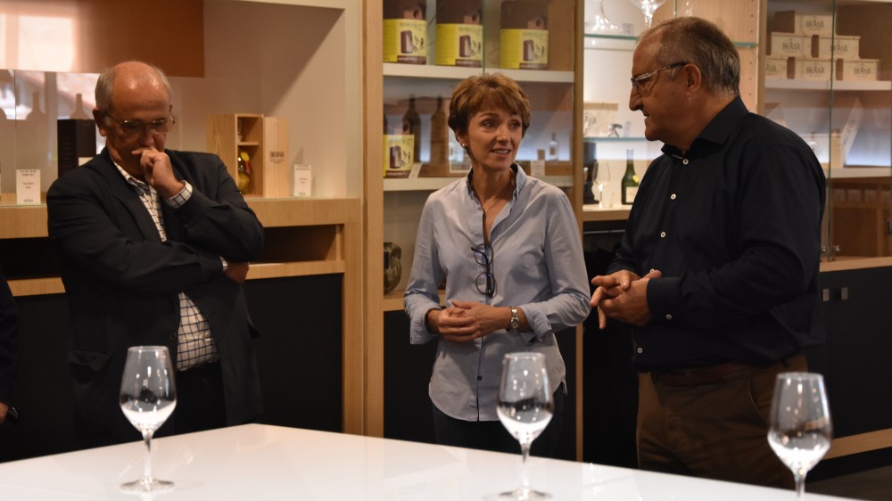 Pako Arizmendi :  Pako Arizmendi :